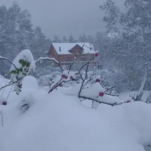  Chalet Bois Au Milieu Des Pyrénées France